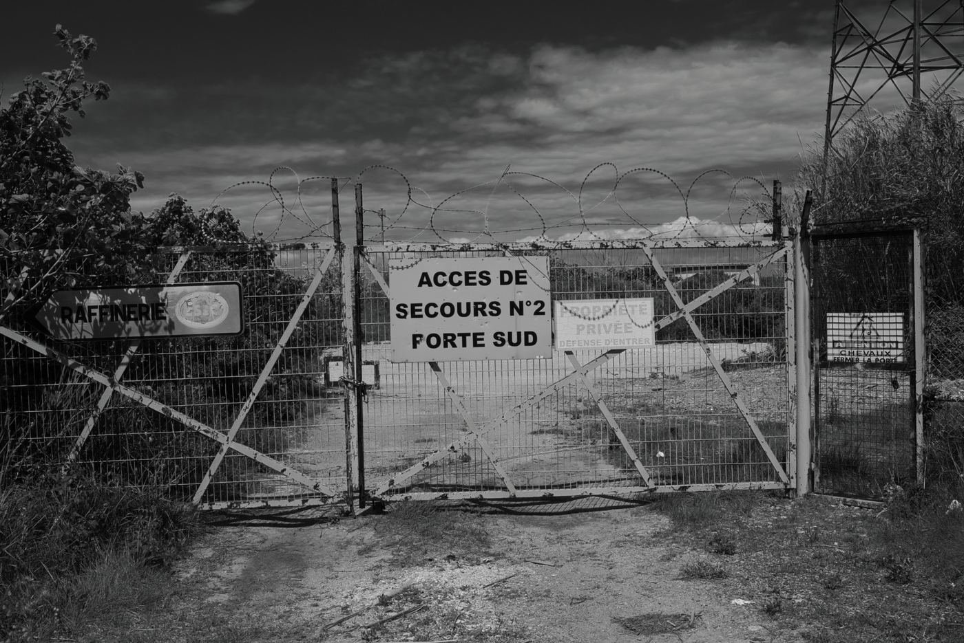 Industry / Work — 2025