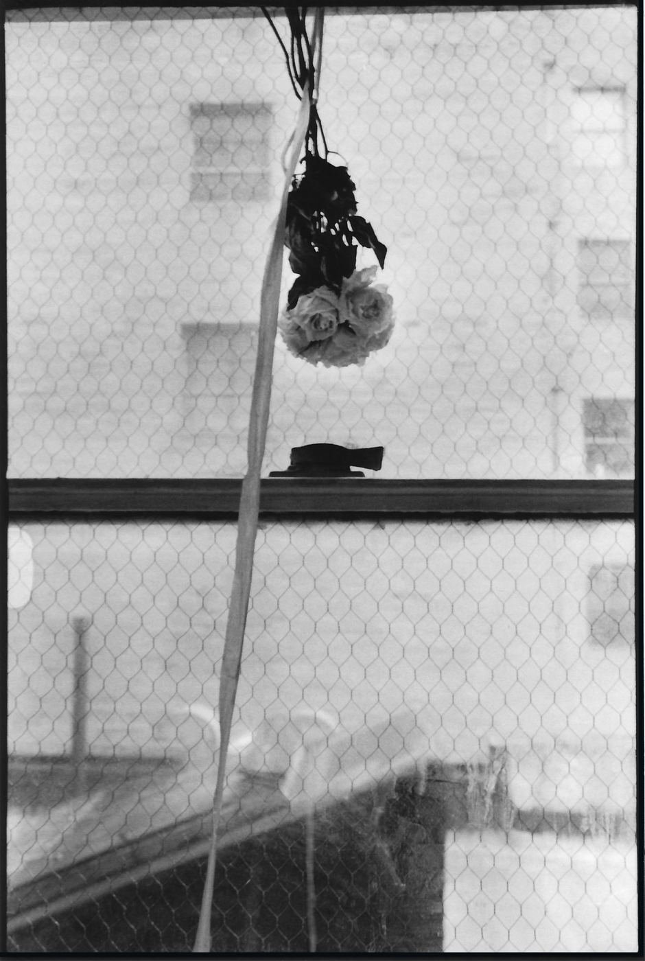Places / Territories — New York — 1996