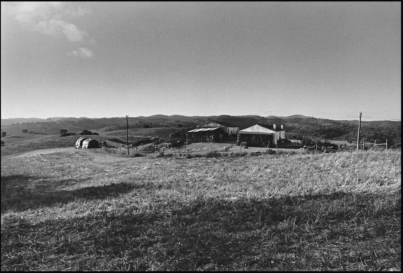 Places / Territories — 1993