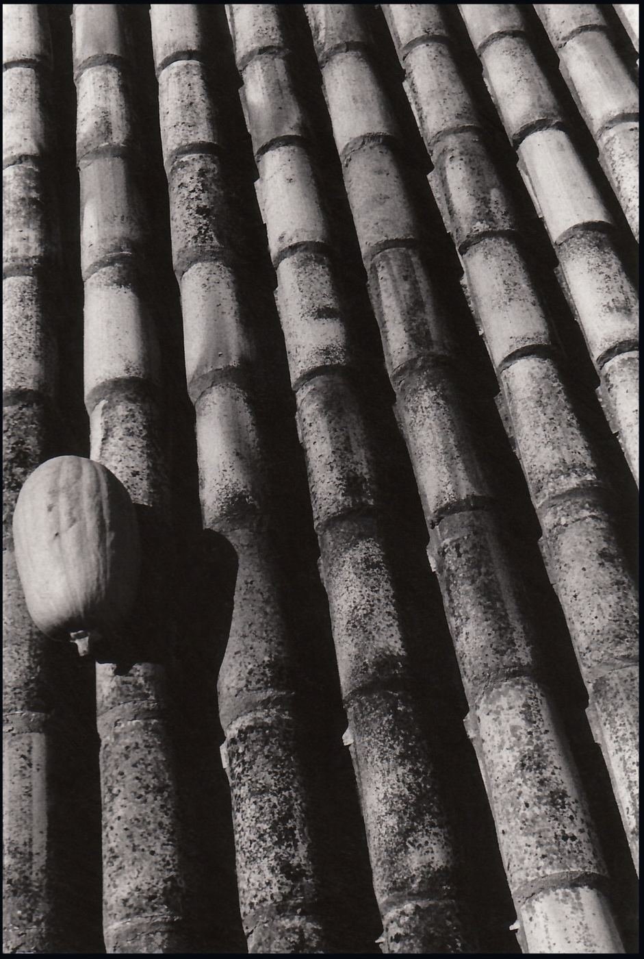 Places / Territories — 1993