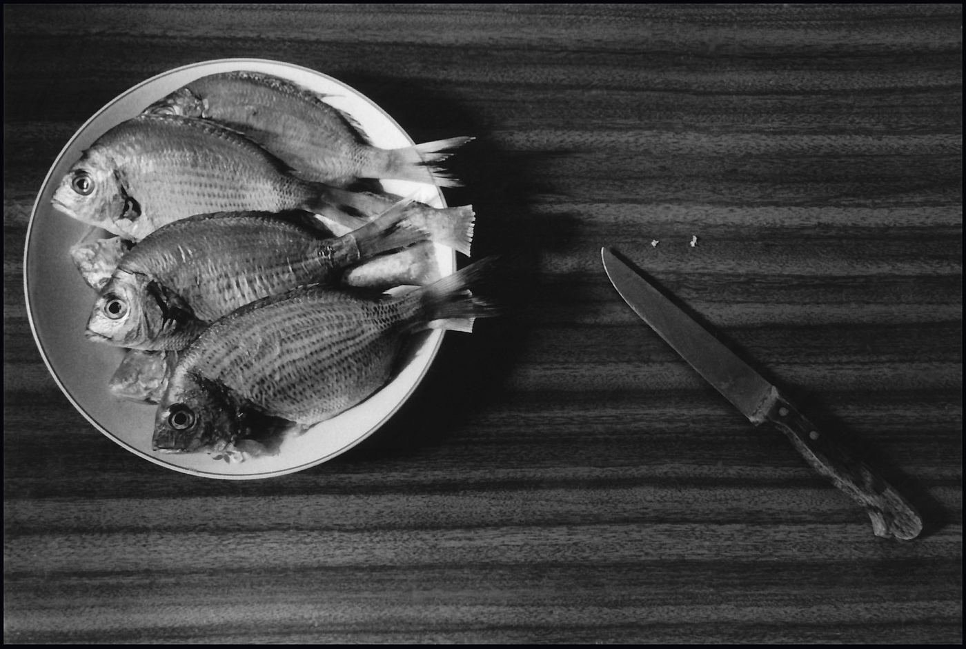Places / Territories — 1993