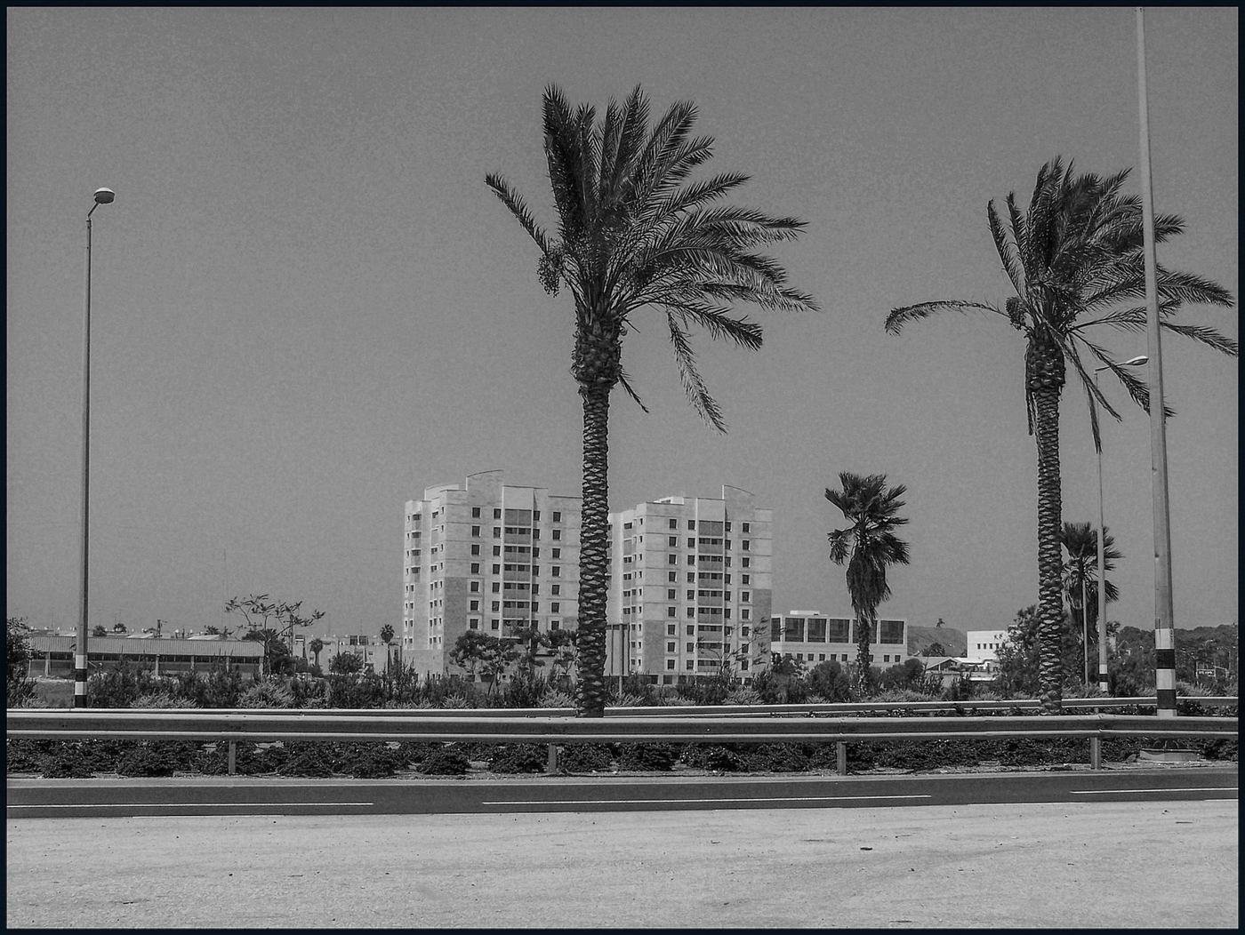 Places / Territories — Israel — 2007