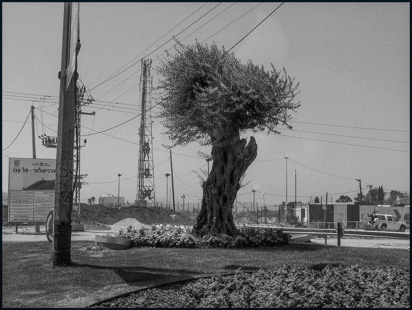 Places / Territories — Israel — 2007