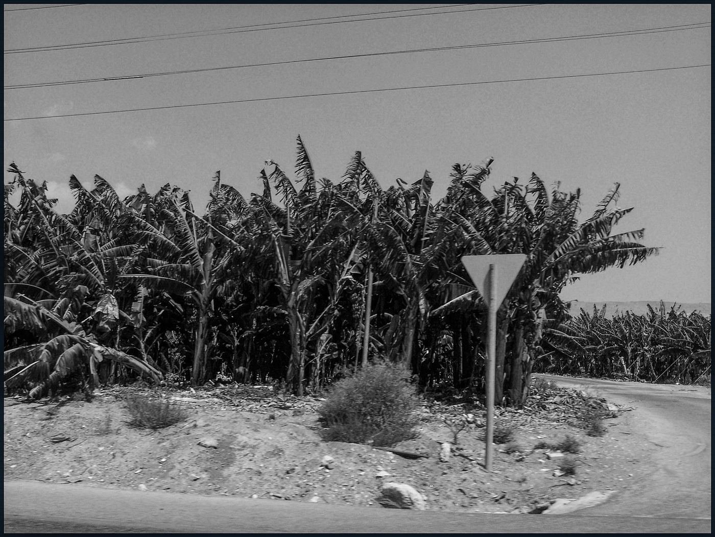 Places / Territories — Israel — 2007
