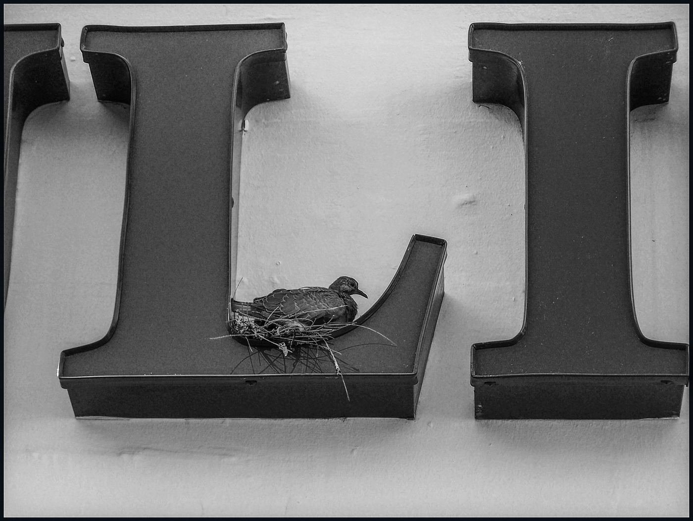 Places / Territories — Israel — 2007