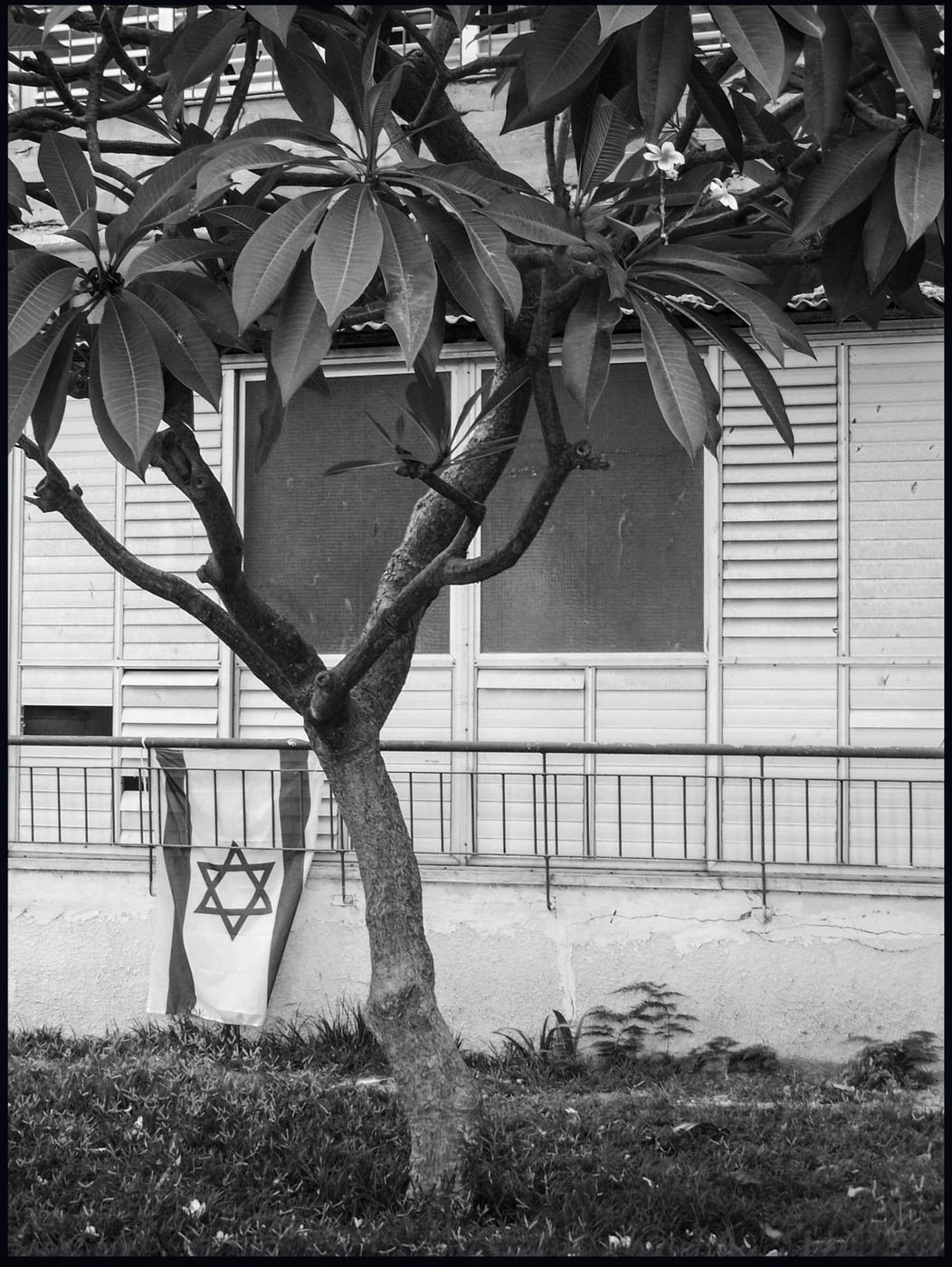 Places / Territories — Israel — 2007