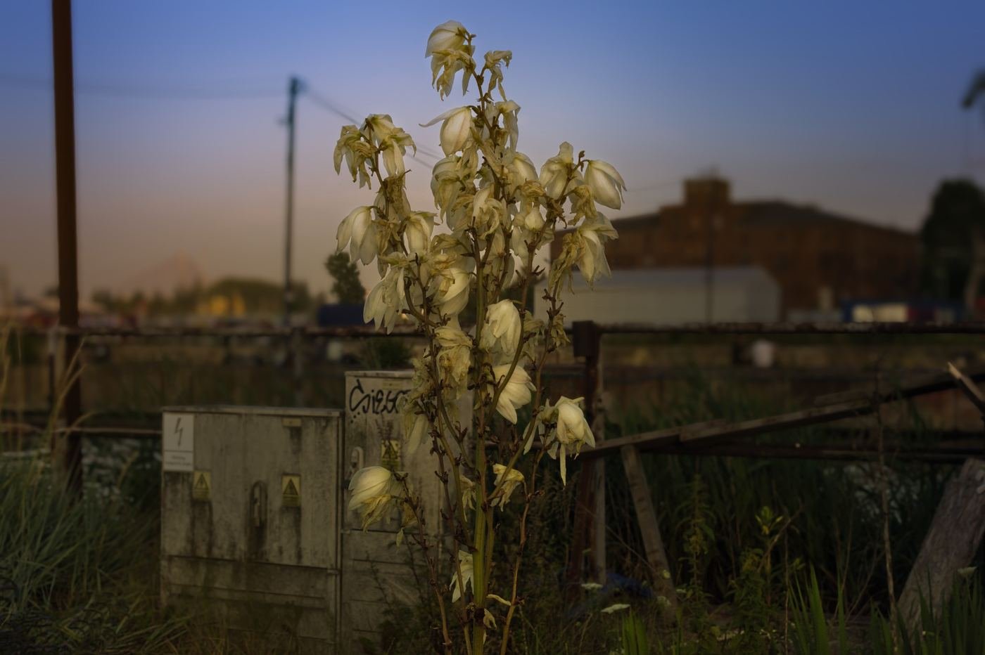 Stories / Reportage — Gdańsk — 2026