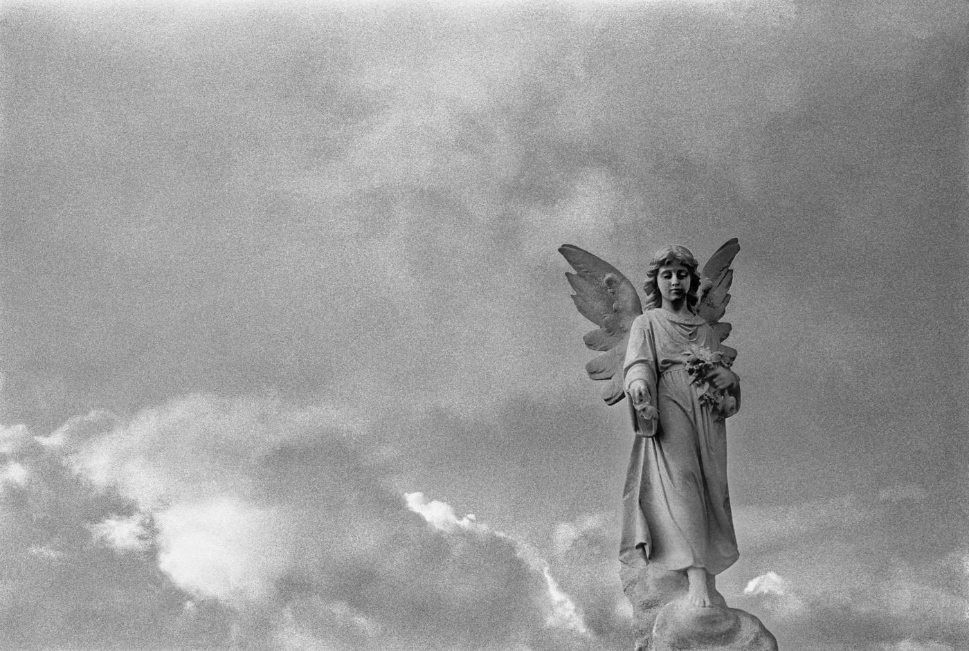 Stories / Reportage — Belfast