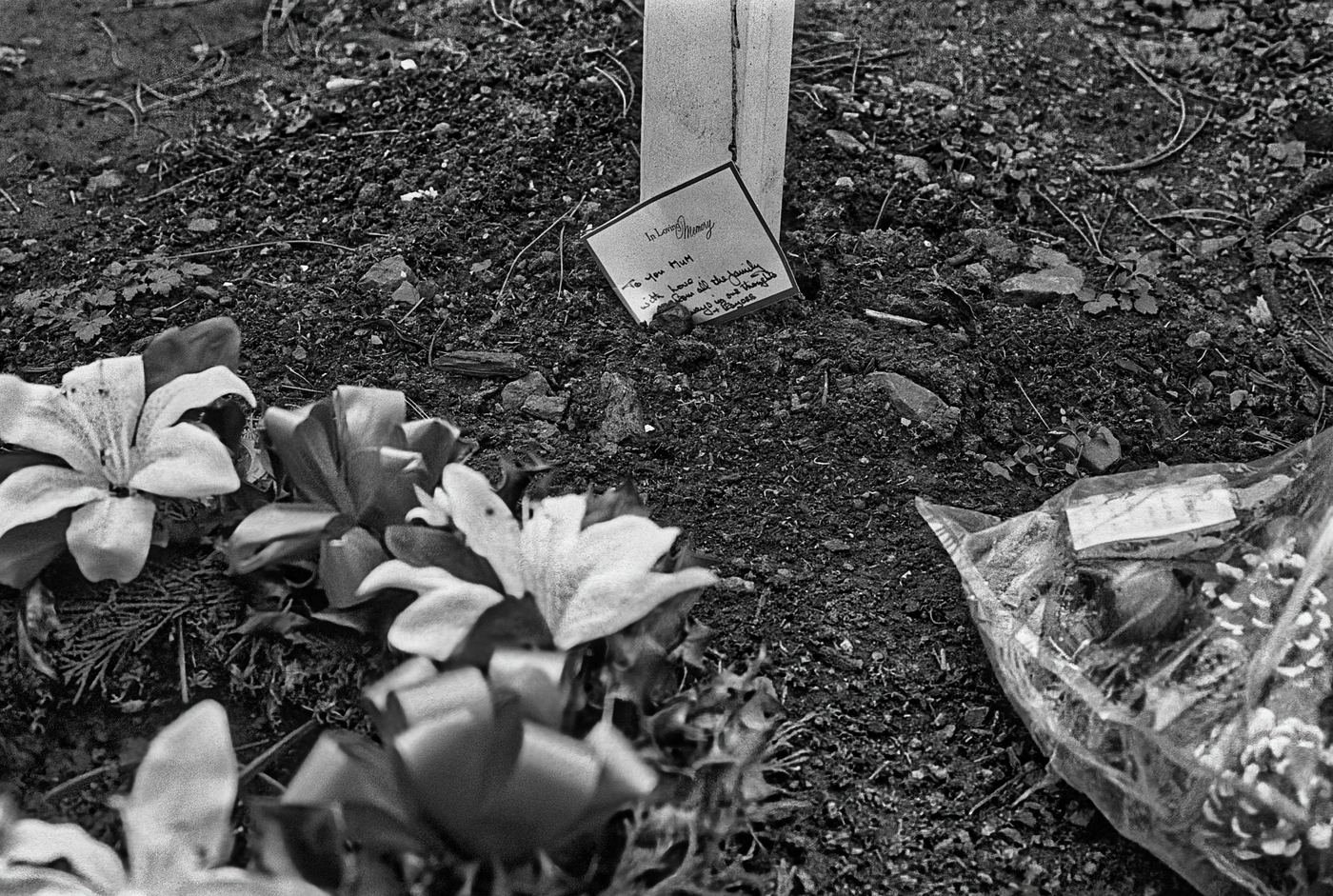 Stories / Reportage — Belfast